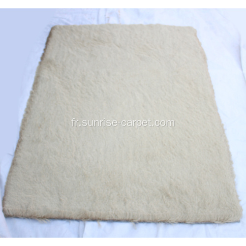 Polyester 150D Tapis Shaggy Avec Pile Longue